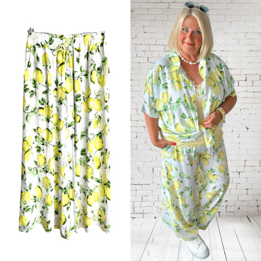 05e59e15 A441 4566 A156 4ff81df8592a