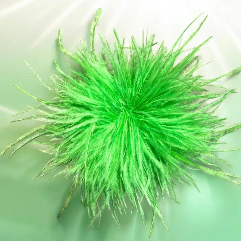 Feder Brosche, in vielen Farben