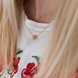 Img 4843