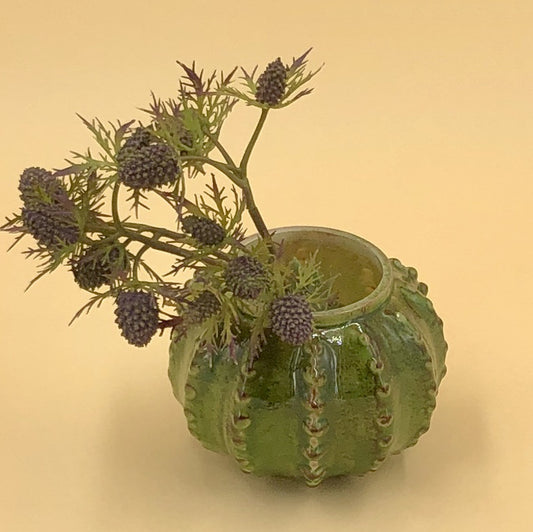 Vase Kaktus